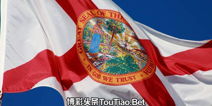 Florida's official flag